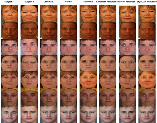 Identical Twins Face Morph-PNG02