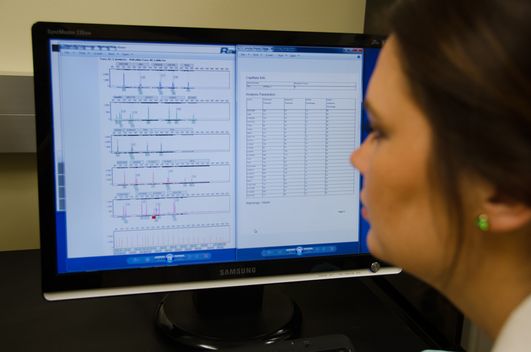 An image of a student observing DNA Markers on a computer screen.